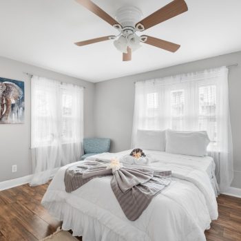 imgi_20_b0a50f85-ee8a-41db-8176-8a6718659dd0