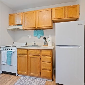 imgi_8_800afd2e-46c4-4c8b-ad88-5042337e8d4a